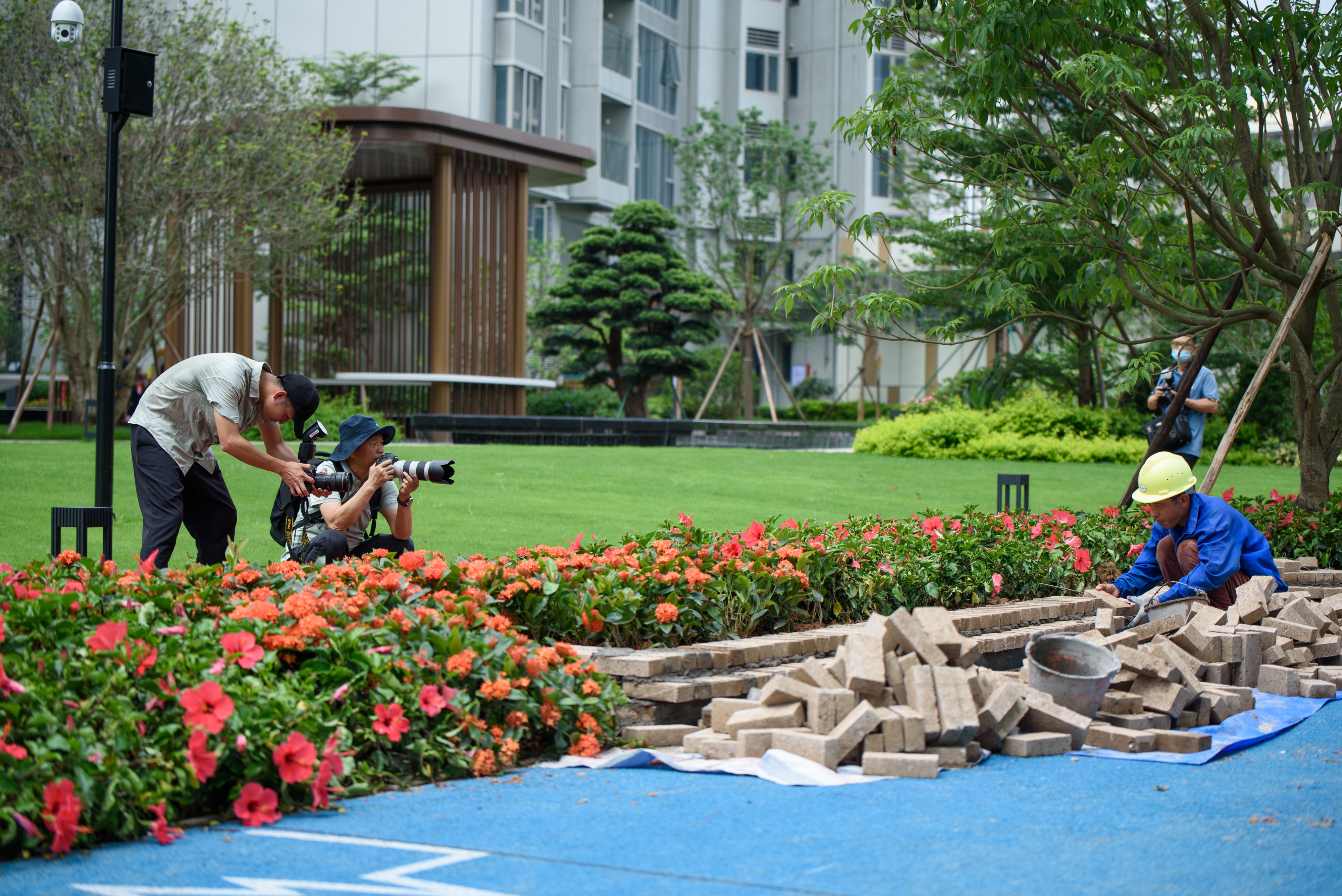 此次摄影大赛由凤岗镇雁田村村民委员会,三正鹏程上花园主办,东莞市