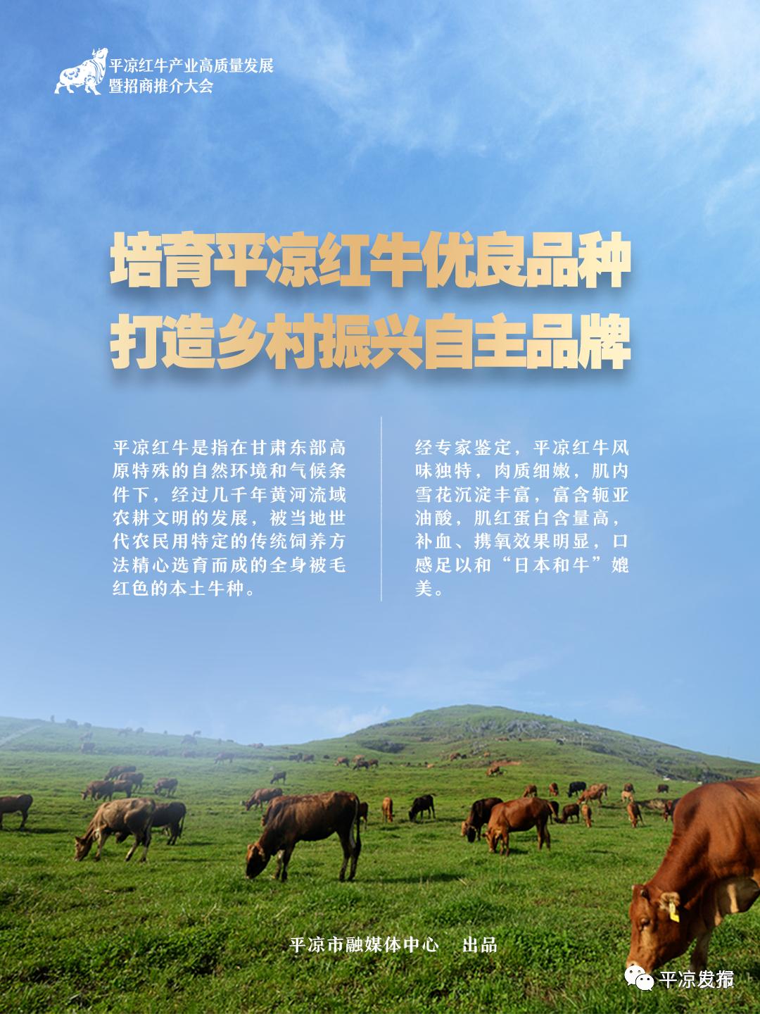 海报丨平凉红牛产业高质量发展暨招商推介大会将于6月14日-16日在平凉