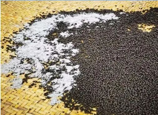 水泛丸制作，一种濒临失传的中药制作技艺_澎湃号·湃客_澎湃新闻-The Paper