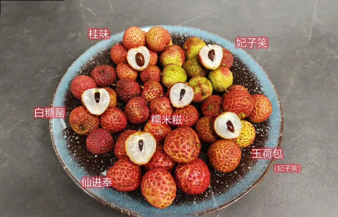荔枝，中国水果的大骄傲！_澎湃号·媒体_澎湃新闻-The Paper
