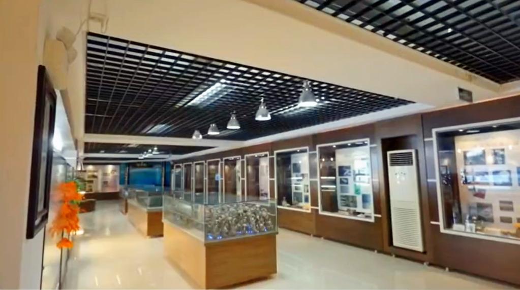 古田:走进食用菌博物馆 探寻菌业发展历程_澎湃号·政务_澎湃新闻-the