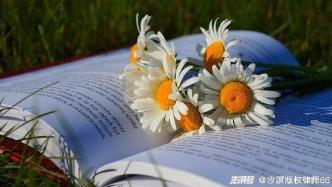 被告未出庭應(yīng)訴，法院能否依職權(quán)調(diào)整違約金？（下）