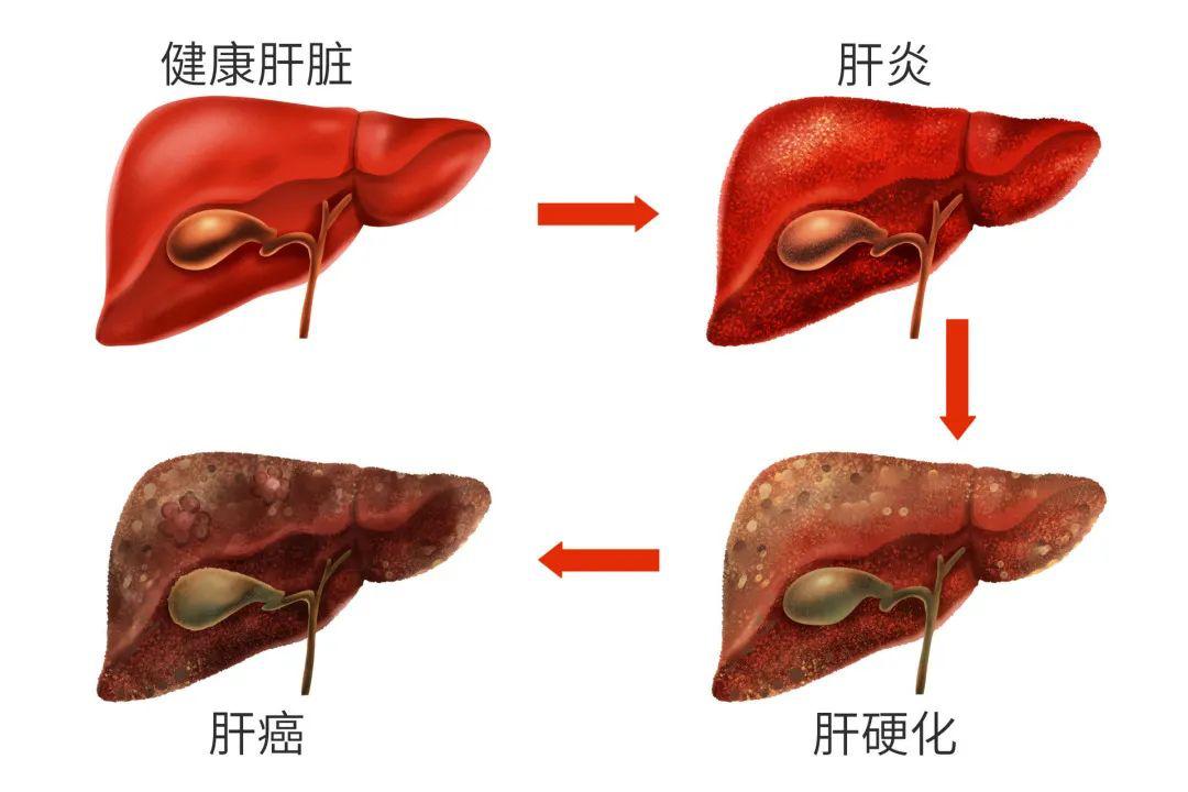 澎湃新闻