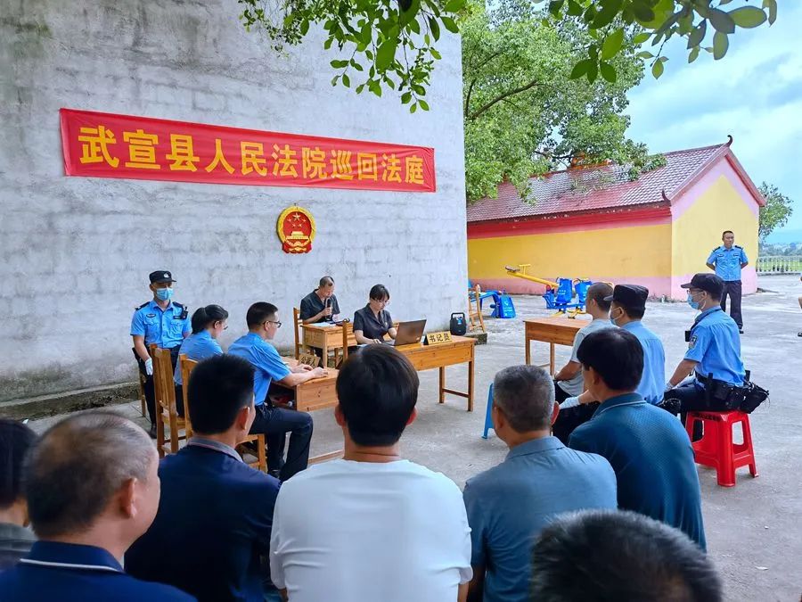  武宣法院：严厉打击涉林违法犯罪，保护绿色家园(图2)