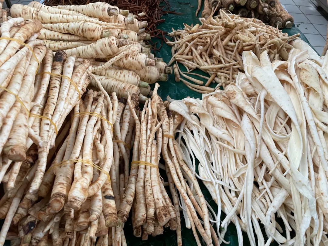 【节庆云南】普洱百草根节:食百草而得一夏安,一场百草根的狂欢