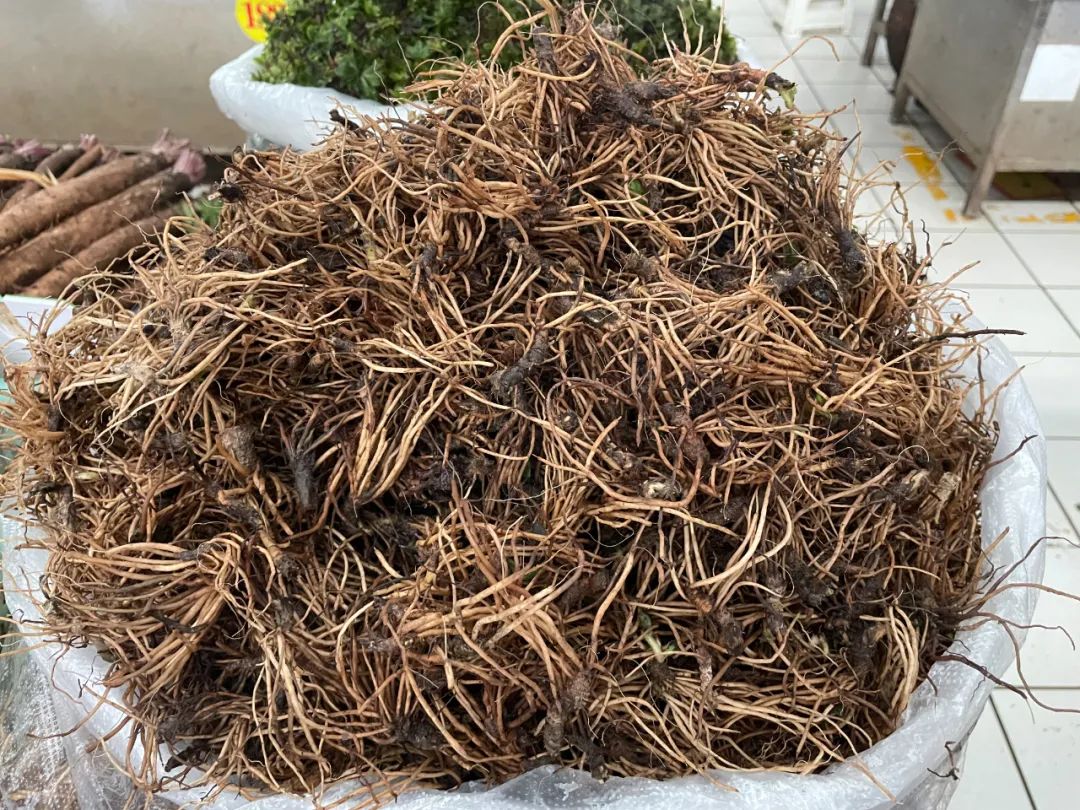 【节庆云南】普洱百草根节:食百草而得一夏安,一场百草根的狂欢