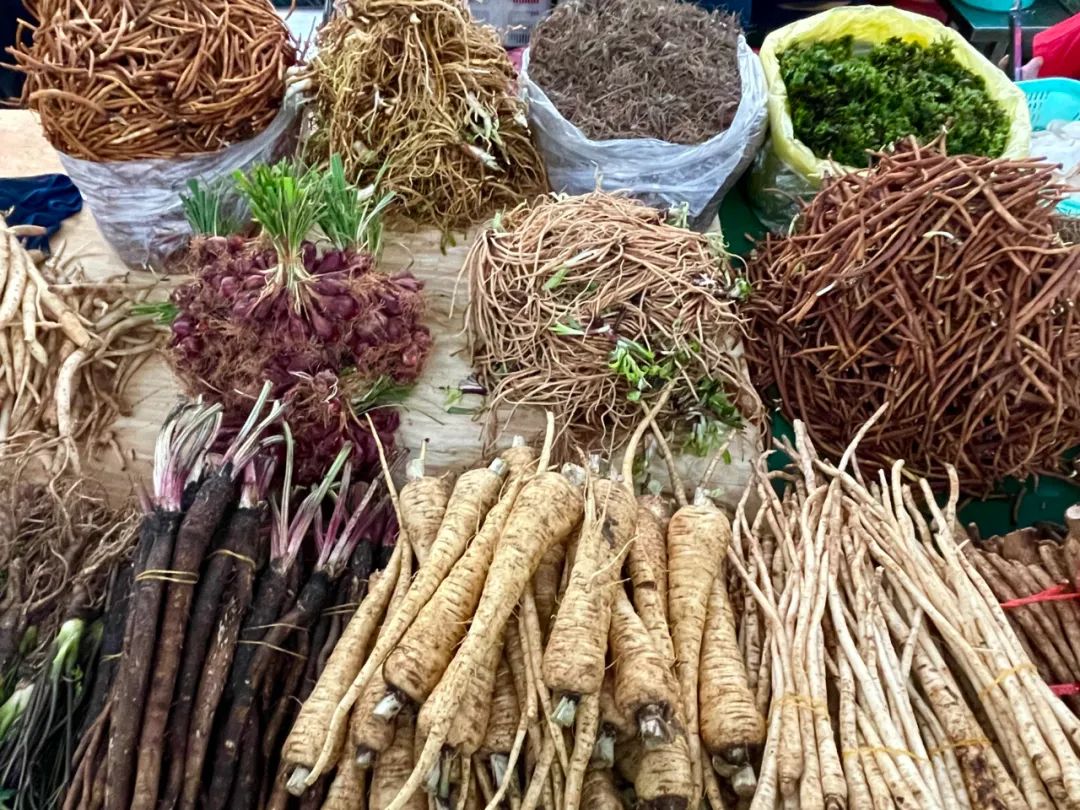 【节庆云南】普洱百草根节:食百草而得一夏安,一场百草根的狂欢