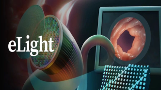 eLight·封面 | 光纤内窥镜实时全彩视频成像