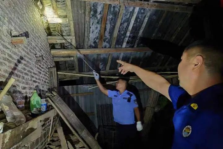 【我为群众办实事】村民家中惊现蟒蛇，叶潭派出所迅速出警处置_澎湃号·政务_澎湃新闻-The Paper