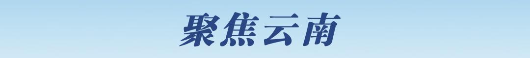 贵州6人吃野生菌4人被送云南抢救_肥皂菌丨珉珉的猫咪_云南野生大红菌