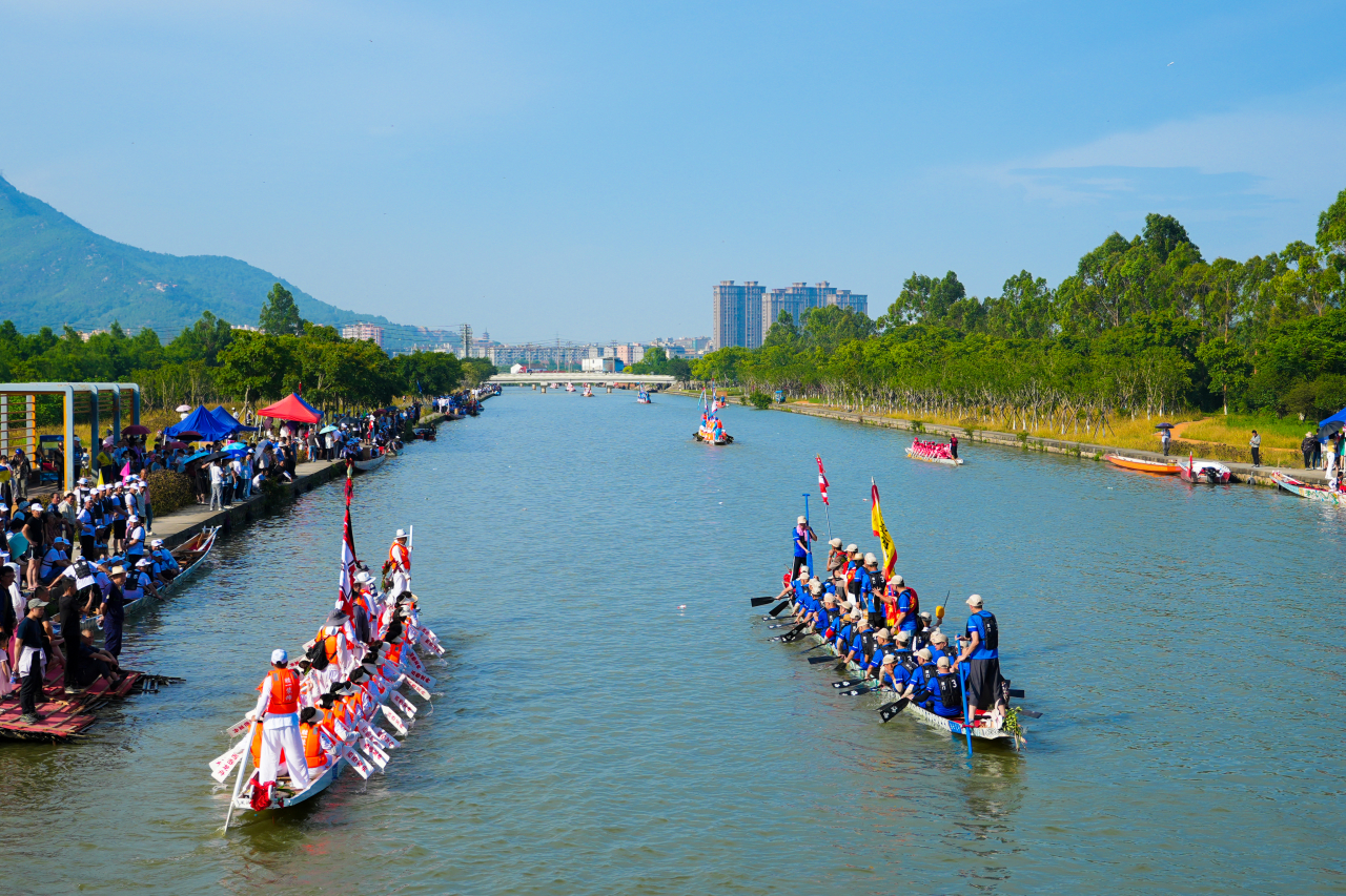 上水啦!325艘,13353人!瑞安划龙舟迎激情端午