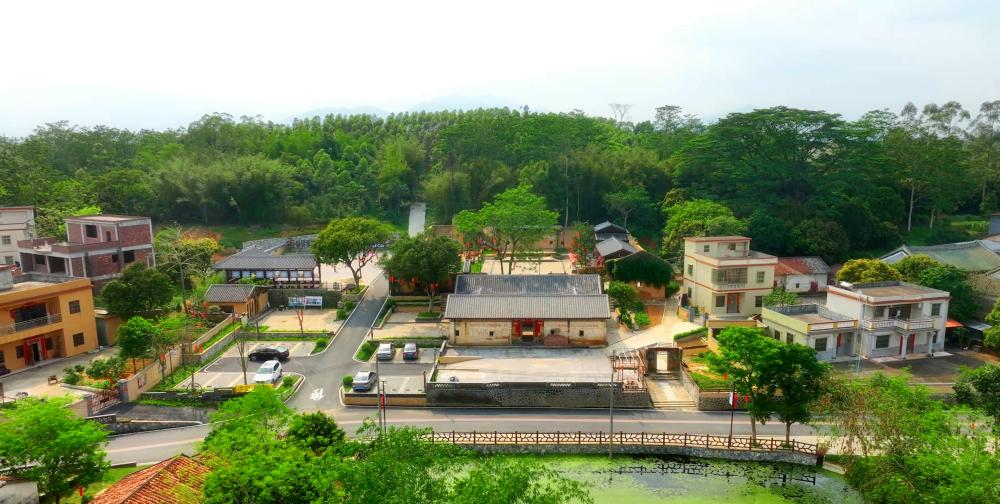 人居环境及道路通行环境,带动乡村全面振兴,泰美镇谋划建设一条可学