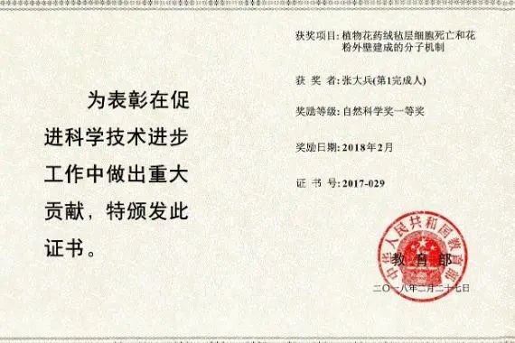 确认离世!端午当天遭遇重大交通事故_澎湃号·媒体_澎湃新闻-The Paper