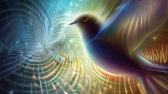 鸟类如何利用磁场、太阳和星星来掌握方向？