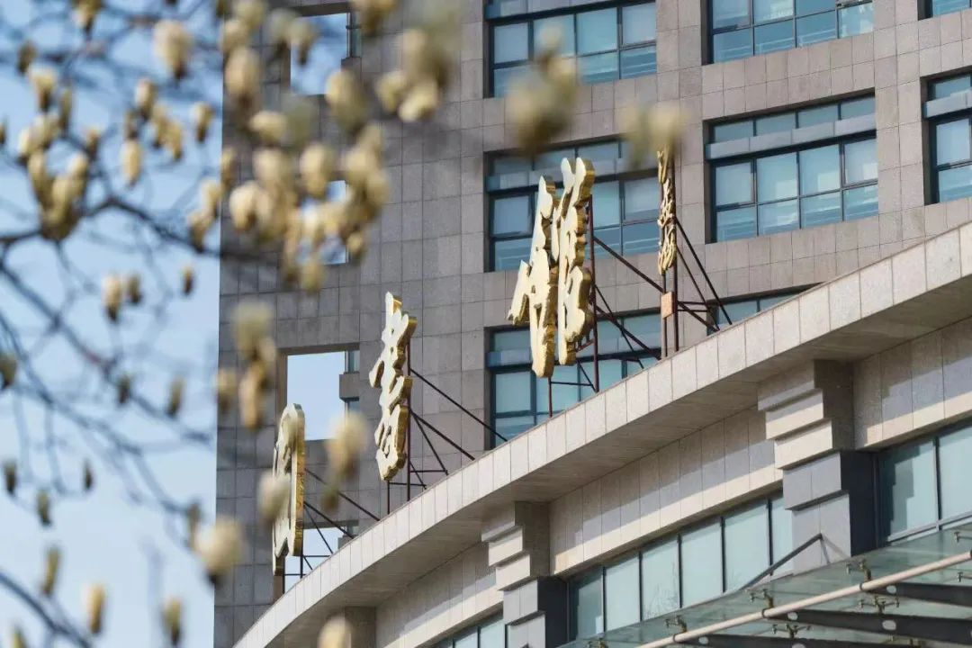杭州師范大學2023年錄取分數線_杭州師范大學分數線_杭州師范大學三位一體錄取情況
