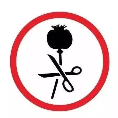 国际禁毒日丨一起抵制毒品诱惑,为禁毒发声!