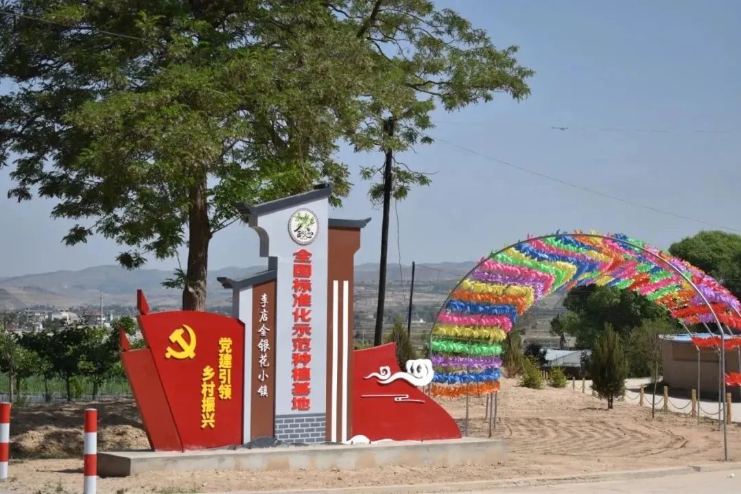 李店金银花小镇景区邀您来_澎湃号·政务_澎湃新闻-the paper