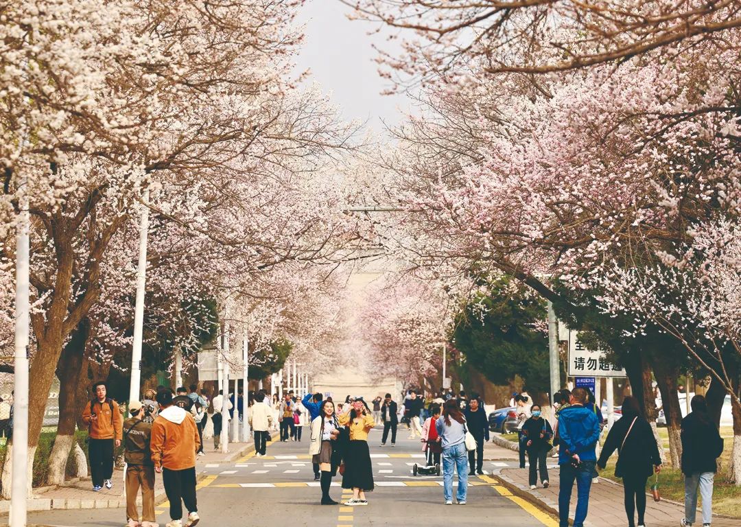 吉林大学南岭校区大虾图片