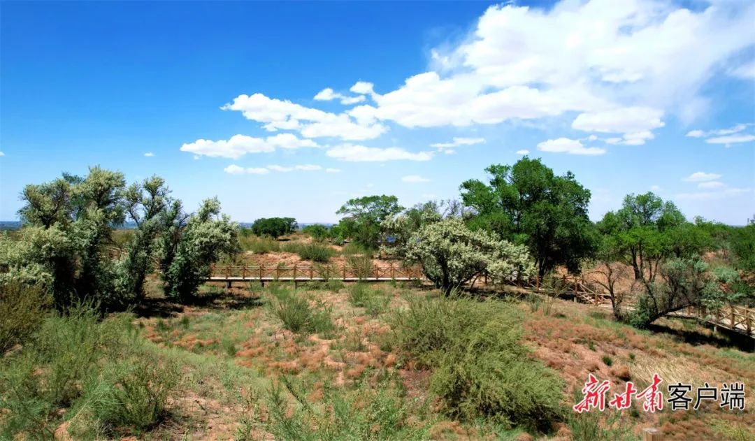 武威市古浪县:绘就绿水青山新画卷