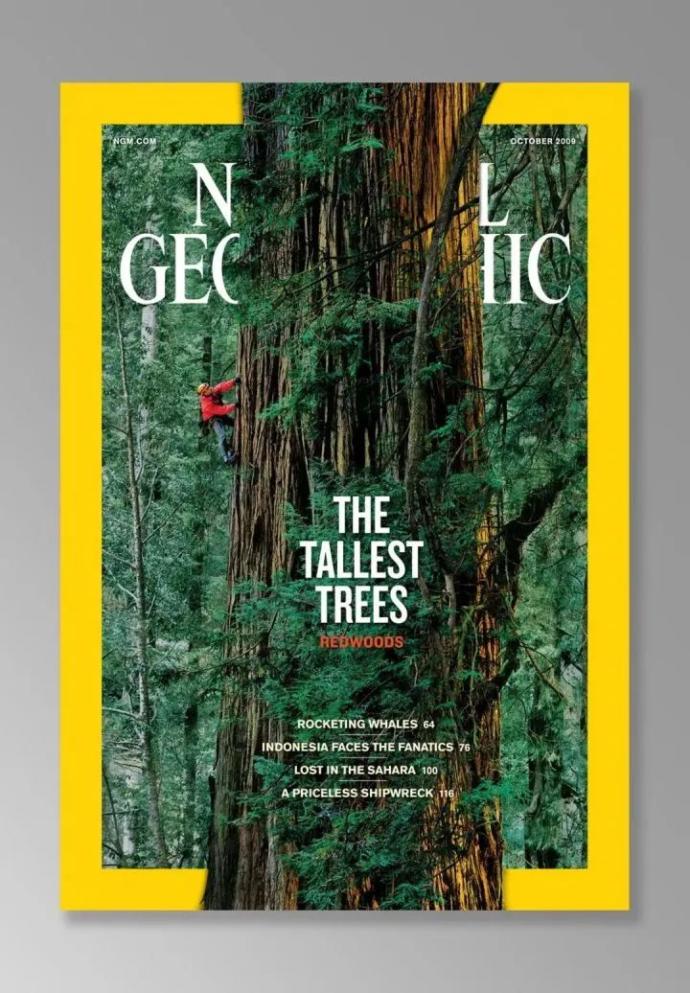 童话世界a版为何停刊_国家取消纸质发票_国家地理杂志明年起在美报刊亭停售