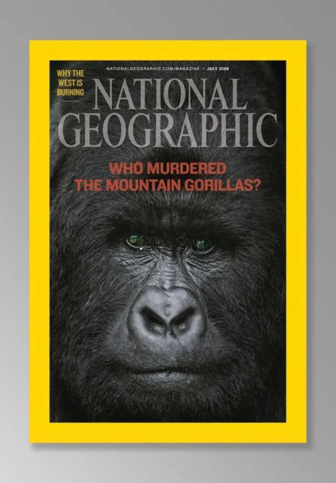 童话世界a版为何停刊_国家地理杂志明年起在美报刊亭停售_国家取消纸质发票