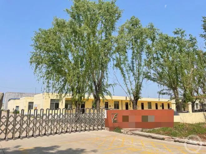 女高材生制售救猫药获刑15年_单位犯本罪的施行单罚制_行政处罚法上的双罚制