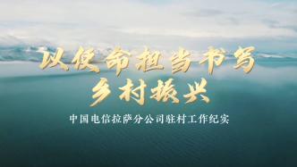 以使命擔當書寫鄉村振興｜中國電信拉薩分公司駐村工作紀實