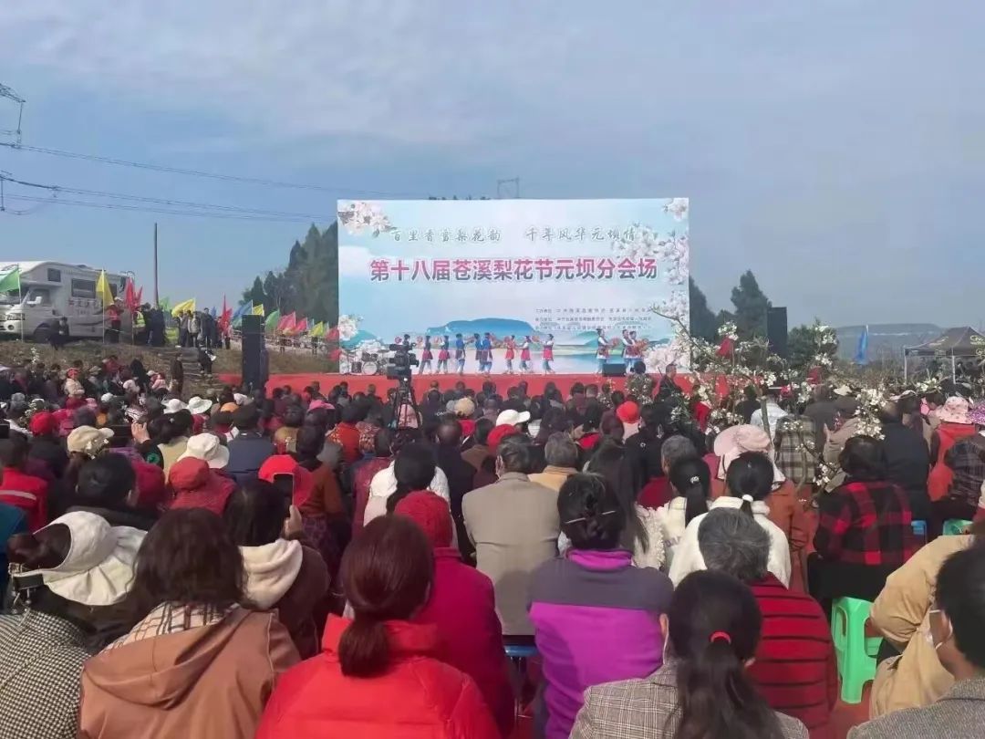 助推乡村振兴步伐_党建引领振兴乡村谱新篇_乡村振兴靠队伍