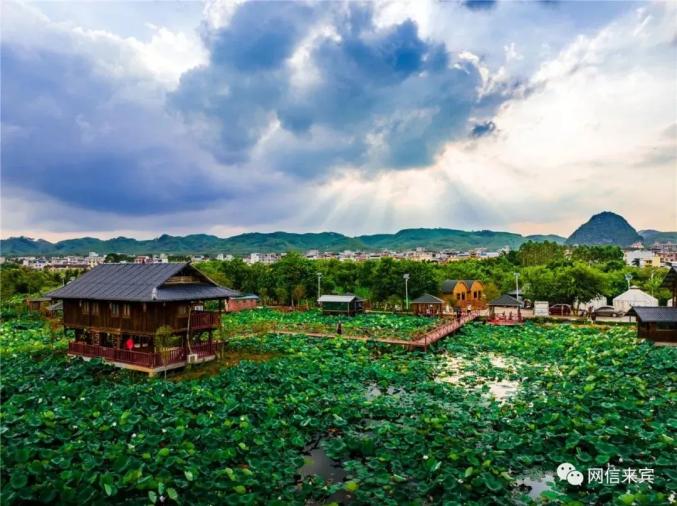 市委网信办开展网眼看来宾·走进绿水仙城武宣采风活动_澎湃号·媒体