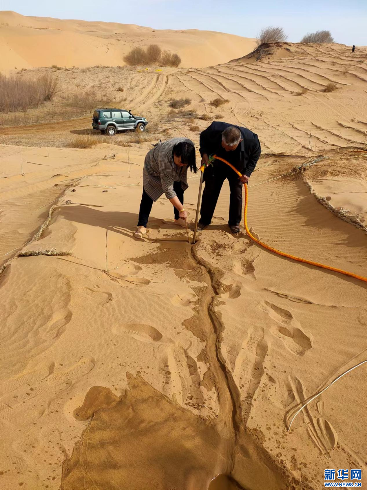 住进别墅里的治沙人_澎湃号·政务_澎湃新闻-the paper