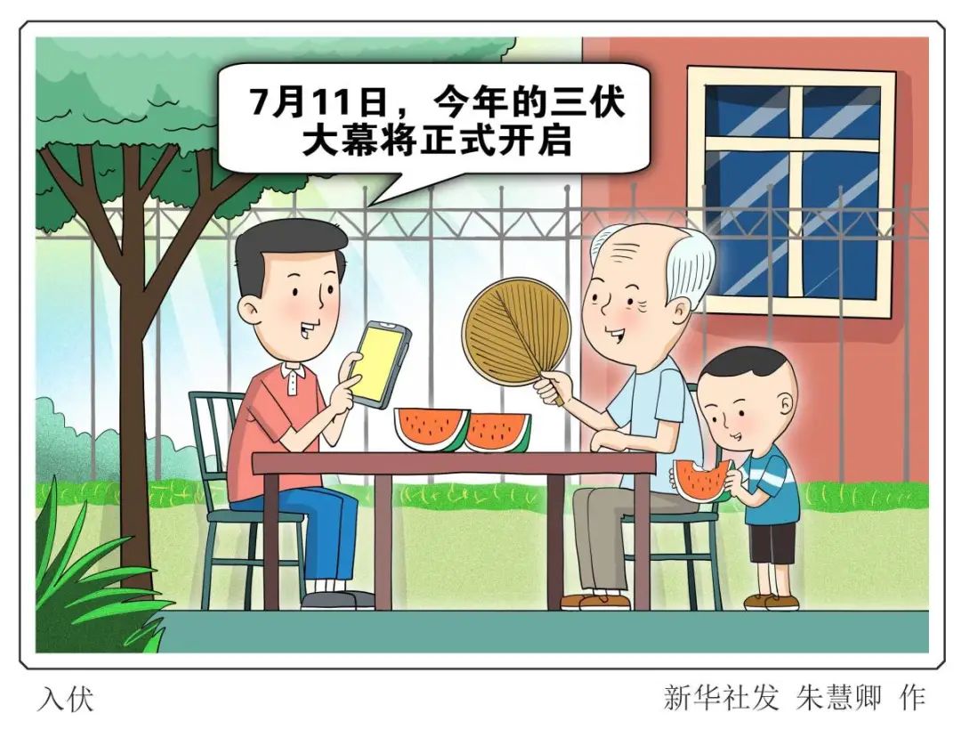 “入伏”那些事....
