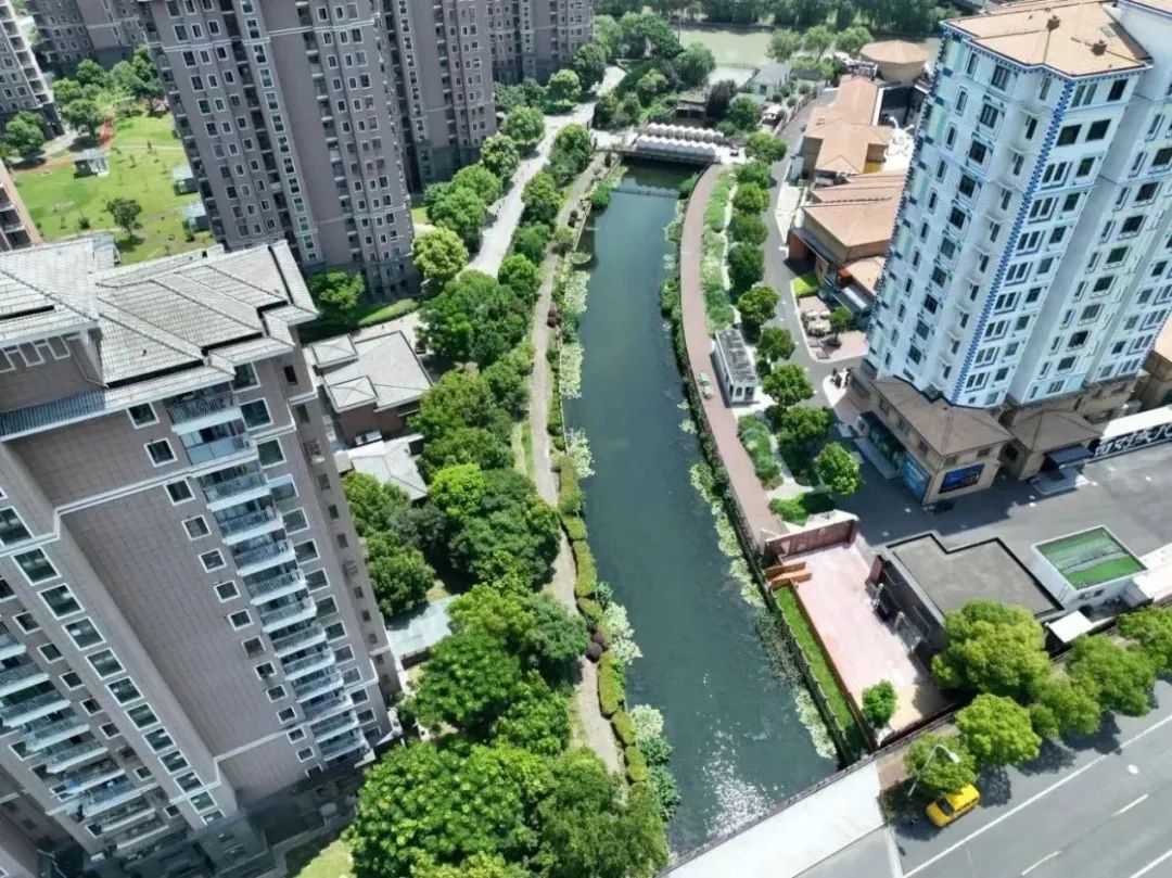 松江:洞泾镇以水兴旅绘就文旅发展新蓝图_澎湃号·政务_澎湃新闻-the