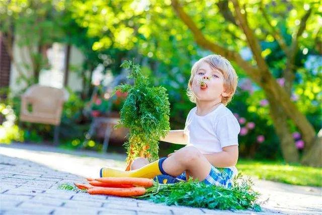  孩子成长阶段心理特征教育 _幼儿教育培养知识篇_