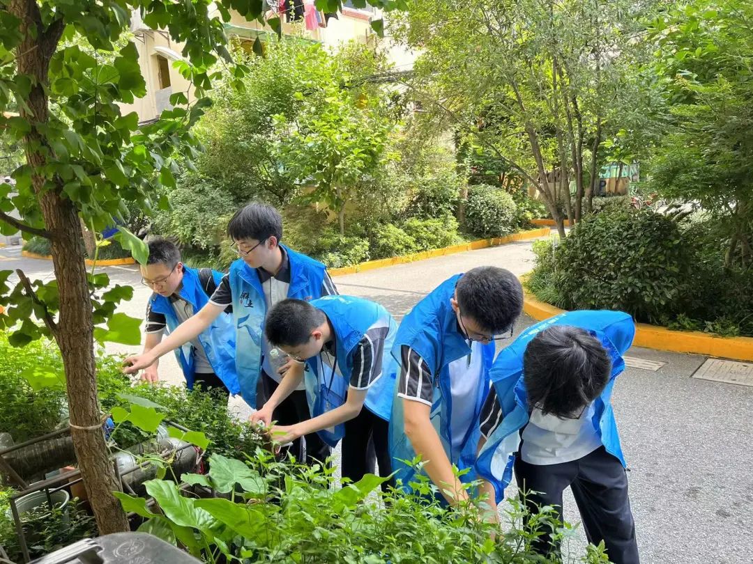 高中生社会实践图片图片