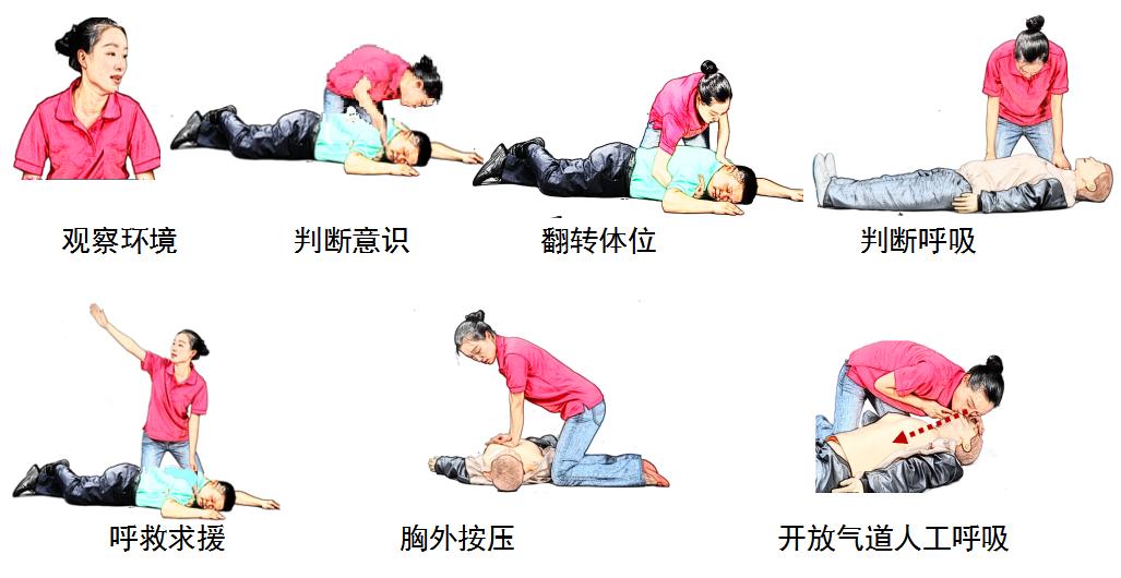 苏？心肺复苏是最基本和最重要的抢救呼吸、心脏骤停者生命的医学方法。