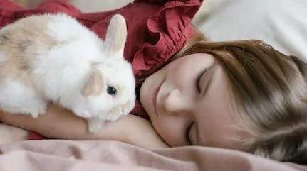 养兔要慎重，家养的兔子可以活八年，但放生后存活率很低