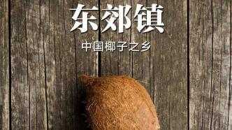 中国最好喝的椰子，这个小镇占到了全国四分之一