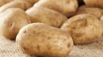 市场卖的土豆越来越大，是打了膨大剂吗？会不会致癌？
