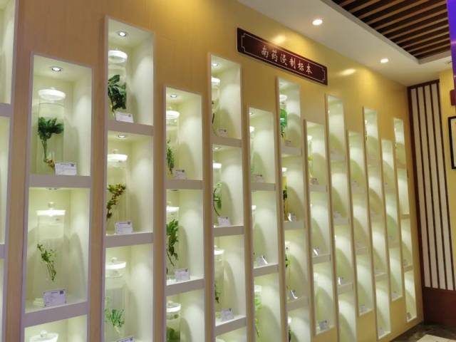 肇庆中药标本馆有什么中药"宝藏"?