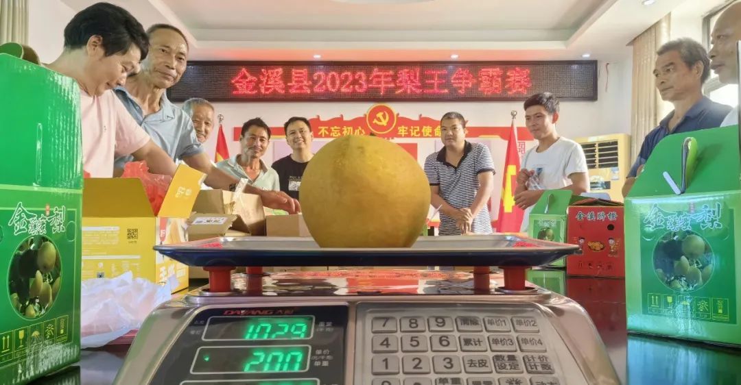 早安地球村丨1029克！这个县诞生“梨王”！