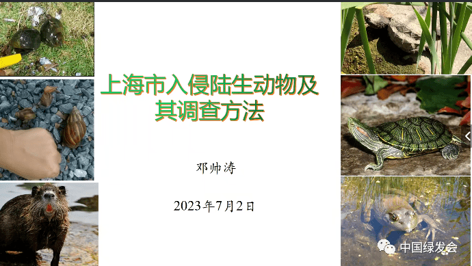 上海常见的外来入侵动植物及调查方法 | 绿会外来入侵物种工作组学习分享