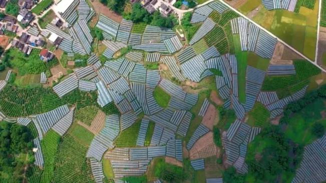 美翻了我的村丨广西壮族自治区来宾市象州县寺村镇67以乡贤文化助力