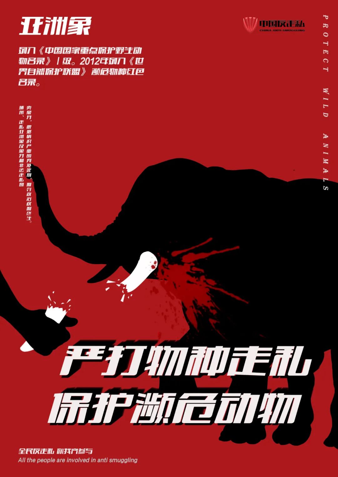 反走私丨严打物种走私 保护濒危动物