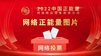 中国正能量网络精品，等你来投票！