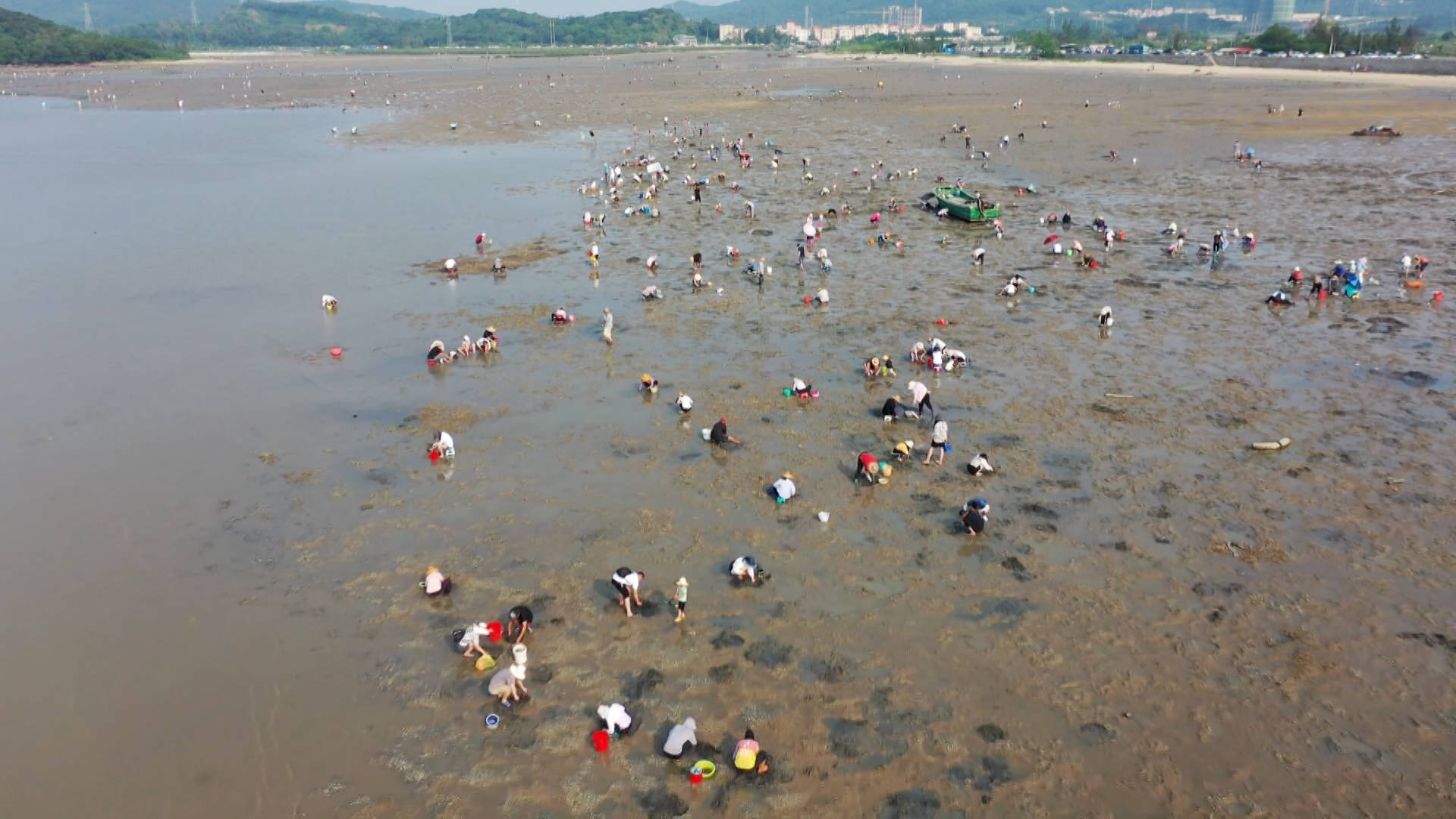 茂名适合赶海的海滩图片