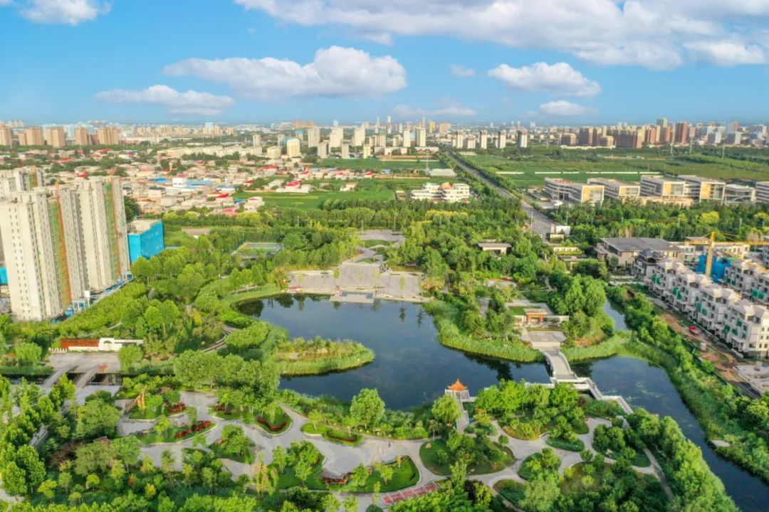 太行泉城 美麗邢臺|沙河龍星公園:生態公園 綠色長廊_澎湃號·政務