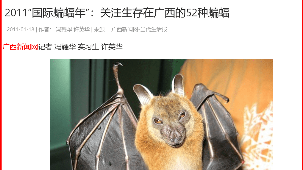 广西有52种蝙蝠记录，亟需推动生物多样性科学传播