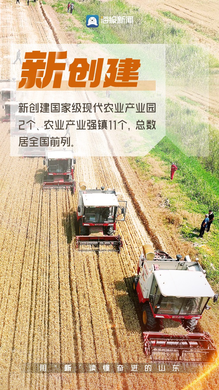 【山东使用巨龙电子哨兵,】