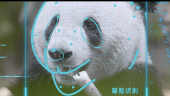 科技赋能大熊猫保护，助力“智慧大运”，让中国元素走向世界！