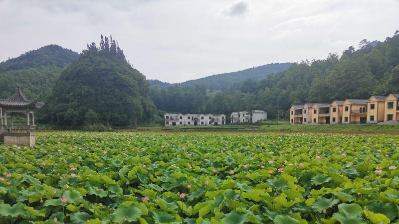 修文县大石布依族乡图片